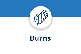 Burns Topic Collection 